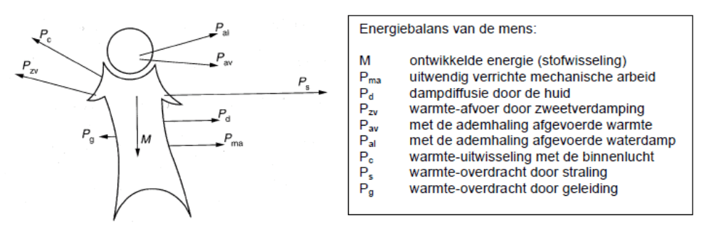 Visuele weergave en uitleg van de energiebalans van de mens