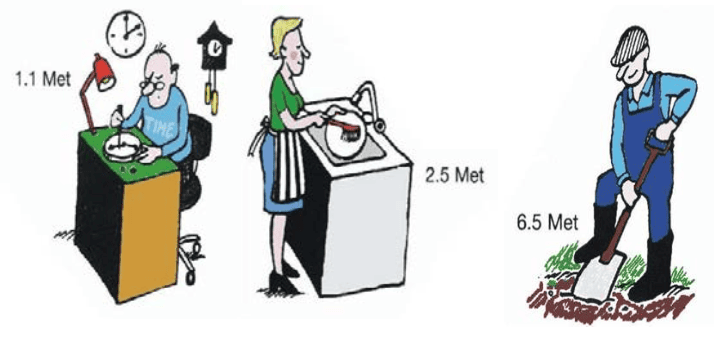 Het metabolisme ofwel het activiteitennivo zegt iets over de interne warmteproductie